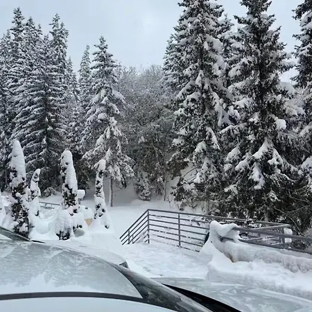 Avec Vue Spectaculaire Au Pied Des Pistes * Lens